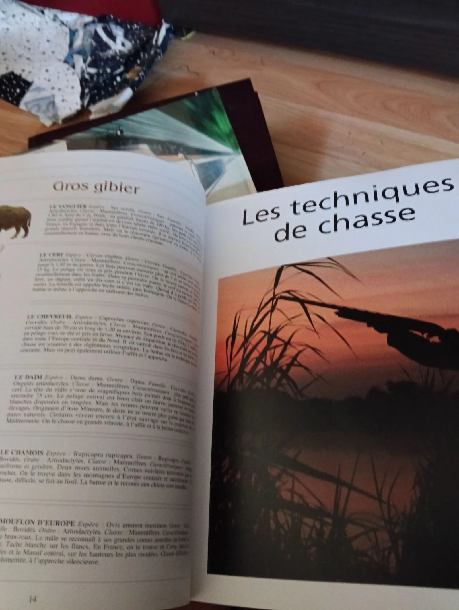 Livro caçador prático – photo 3